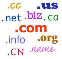 Don't Lose Your Domain Name